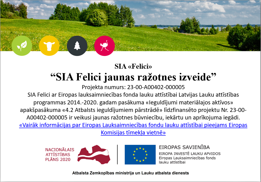 SIA_Felici_jaunas_razotnes_izveide